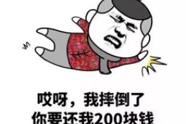 福山为什么选择专业追讨公司来处理您的债务纠纷？